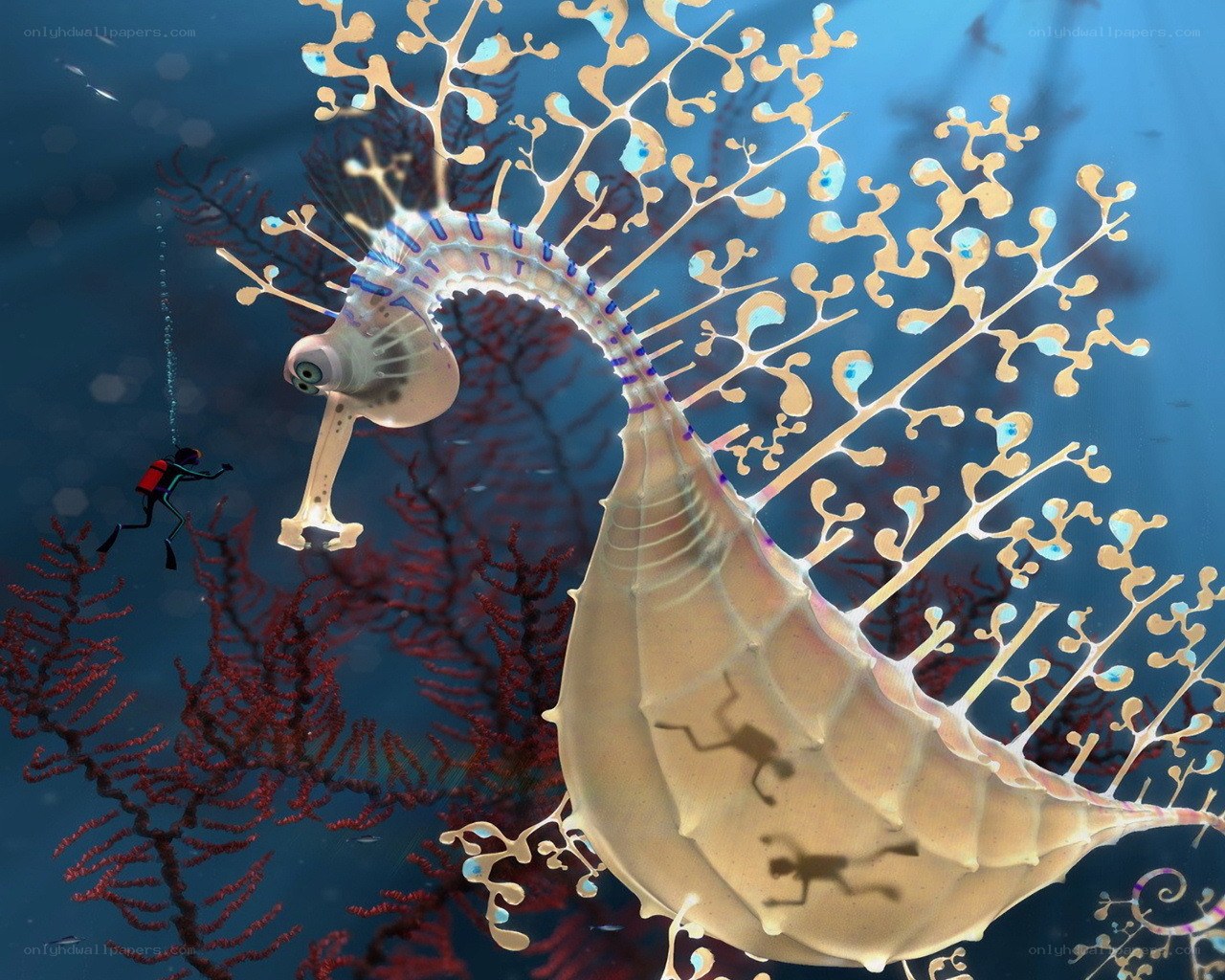 Seahorse with diver
