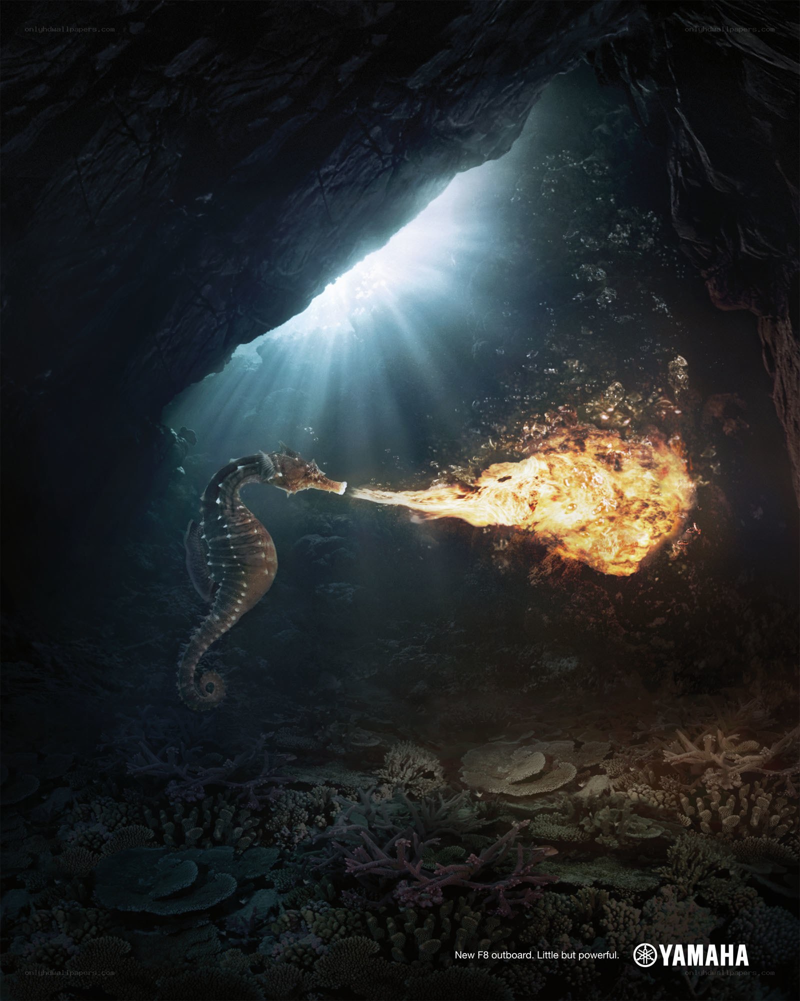 Seahorse with fire breath