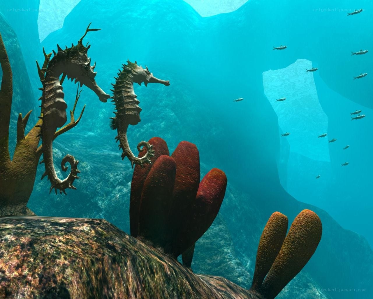 Seahorses in underwater cave