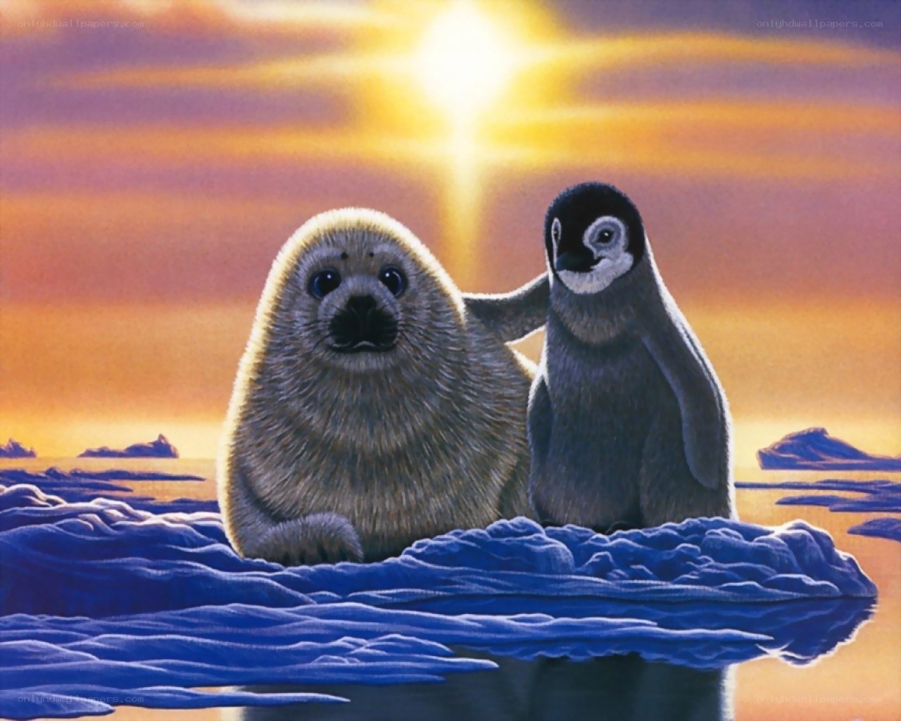 Seal and penguin on ice