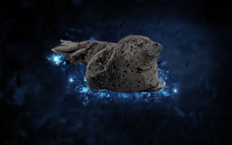 Seal in Water — Blue, Dramatic
