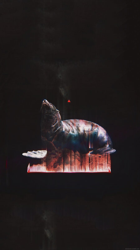 Seal on Digital Platform