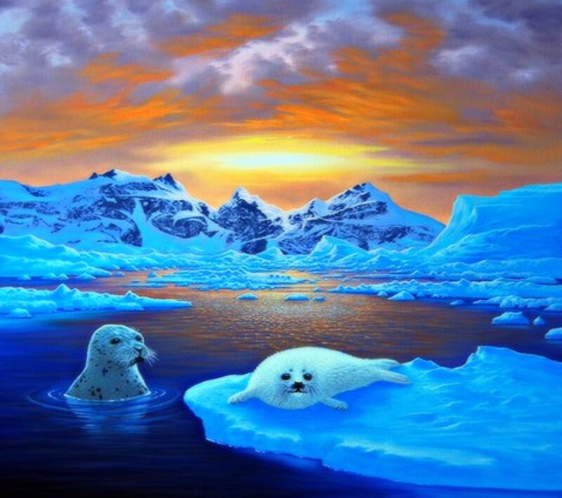 Seal on Ice Floe — Blue, Dramatic