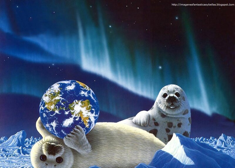 Seal Pups on Ice — Blue