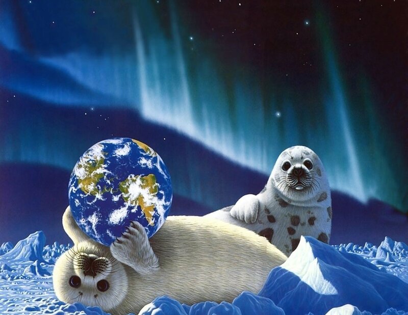 Seal Pups on Ice