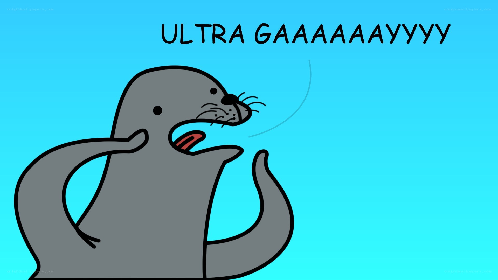 seal yelling ultra gaaaayyy