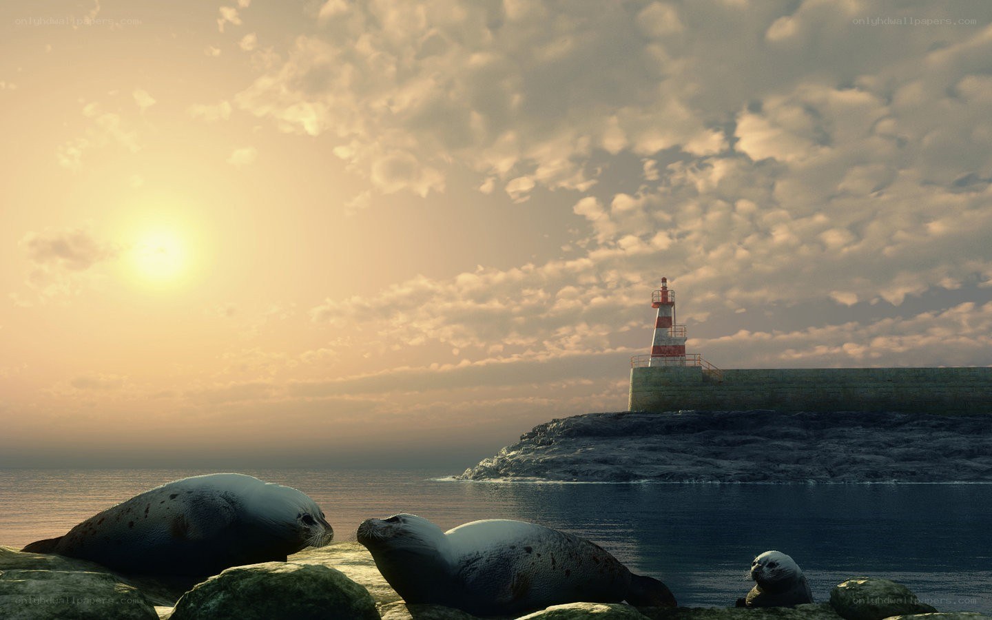 Seals at sunset by lighthouse