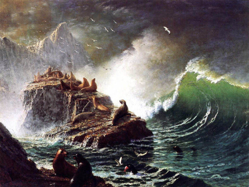 Seals on Rocky Shore — Green