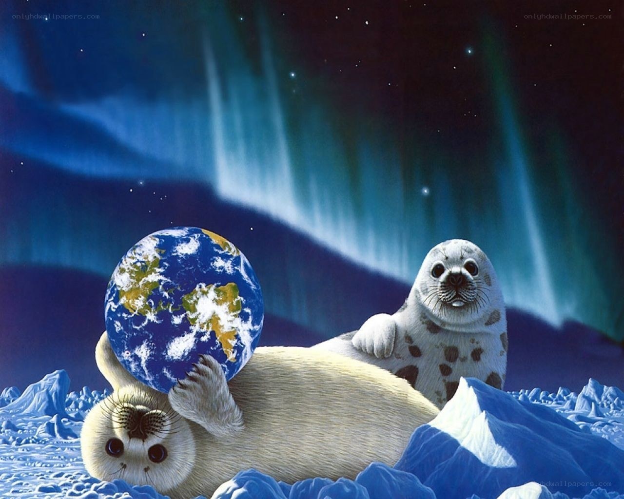 Seals with Earth on ice