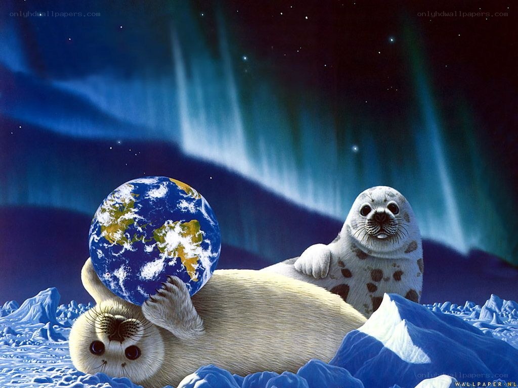 Seals with Earth under aurora