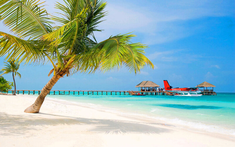 Seaplane at Tropical Dock — Blue