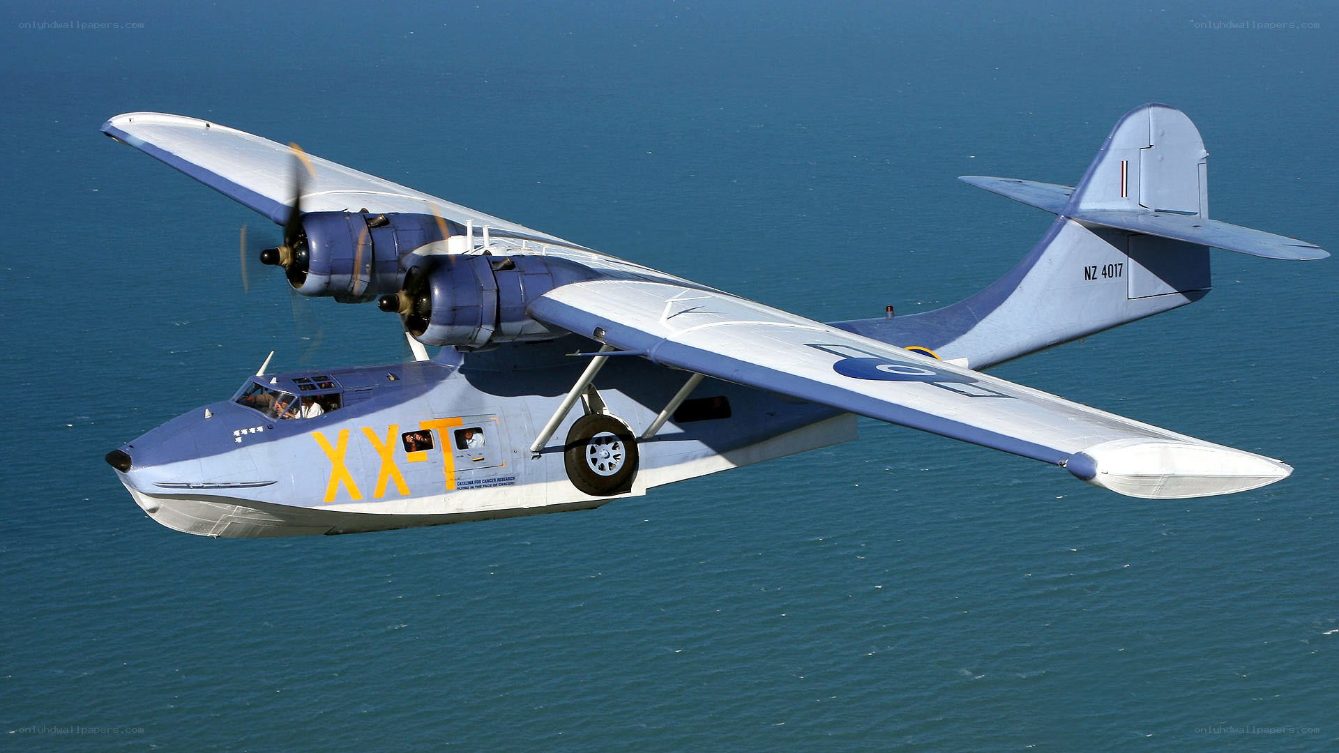 Seaplane flying over ocean