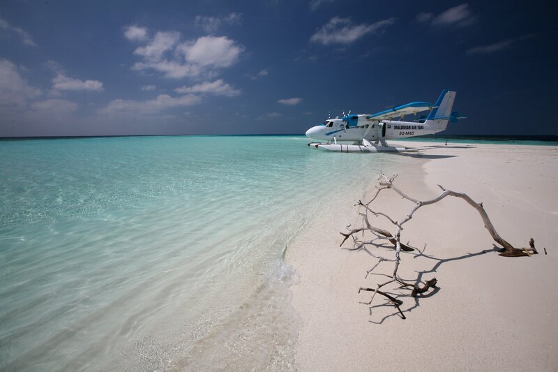 Seaplane on Beach — Blue, Serene, Afternoon, Photograph, Driftwood, Ocean