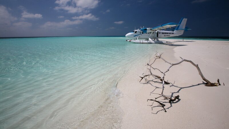 Seaplane on Beach — Blue, Serene