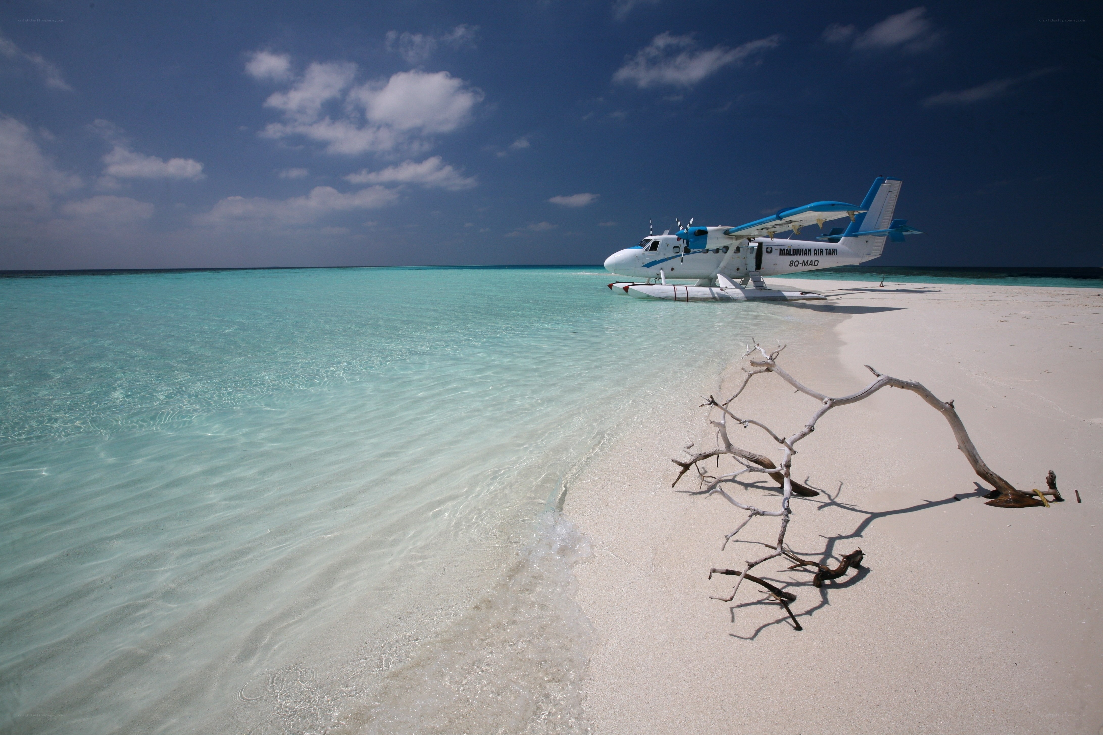 Seaplane on tropical beach