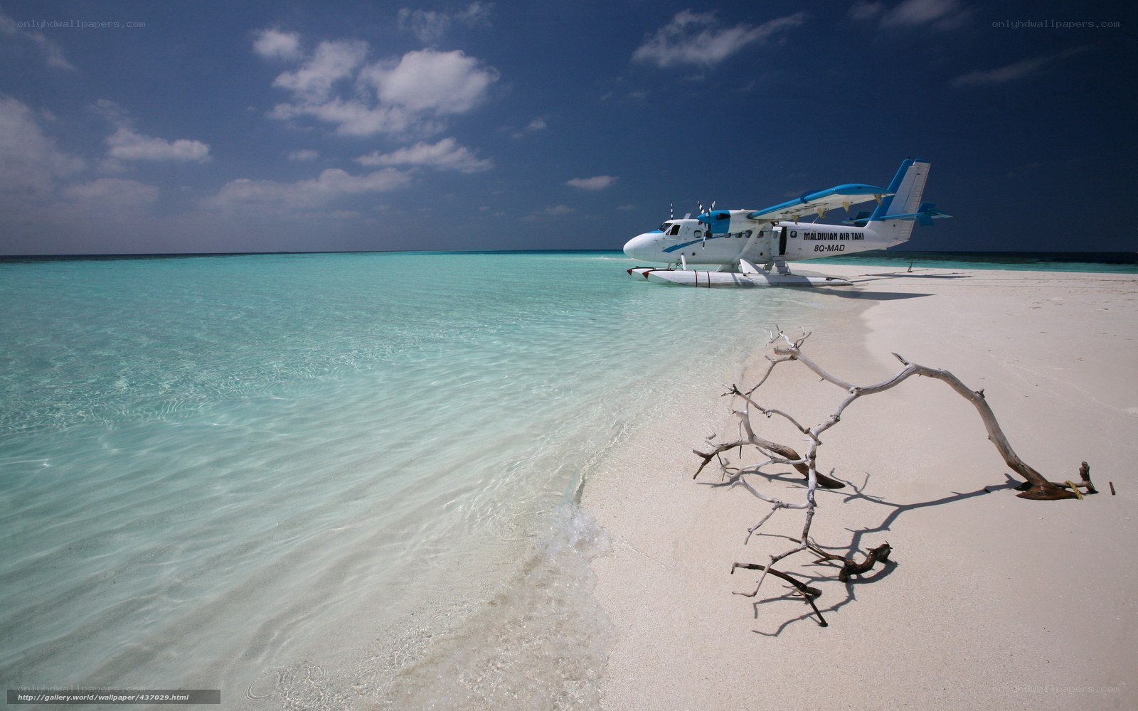 Seaplane on tropical beach