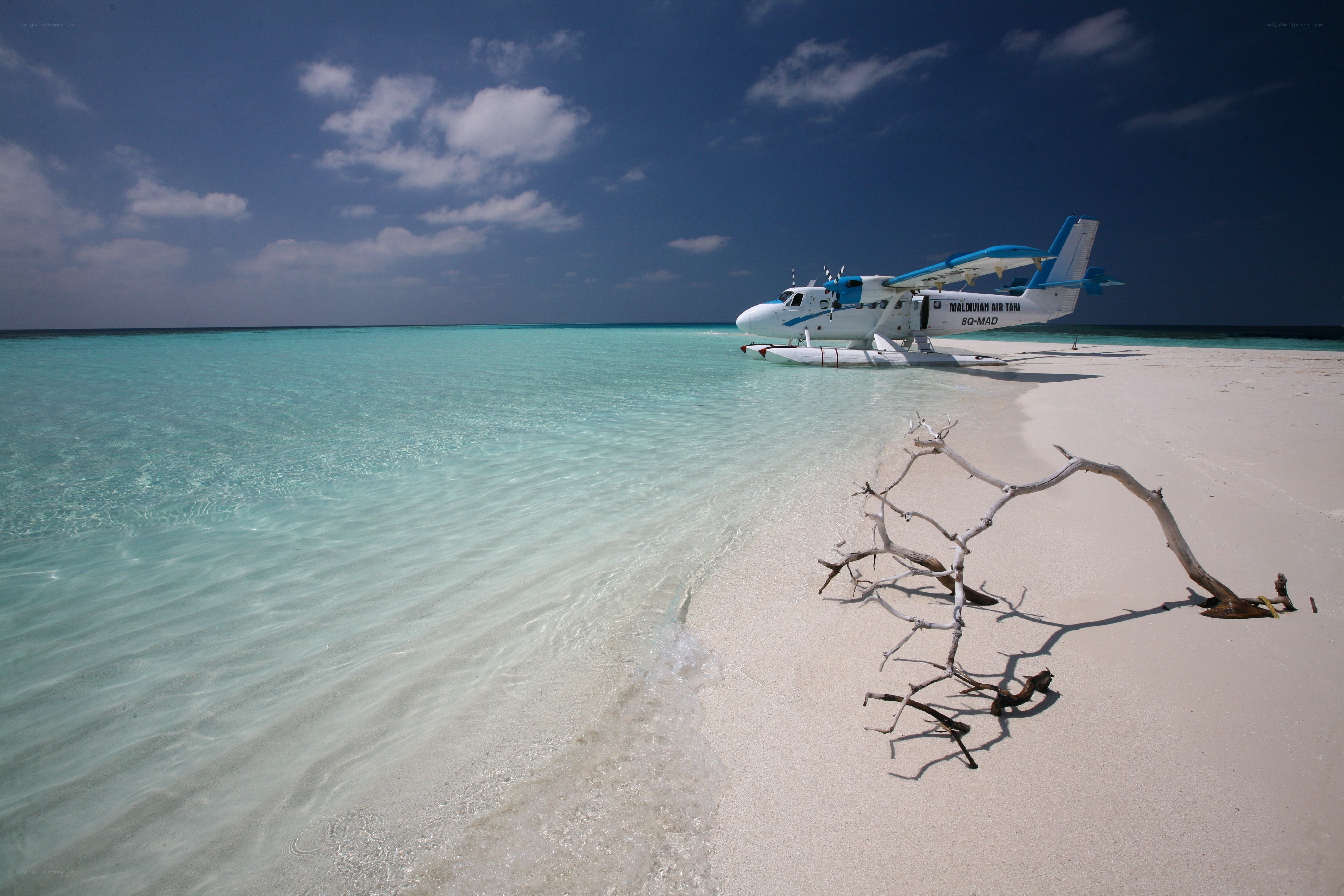 Seaplane on tropical beach
