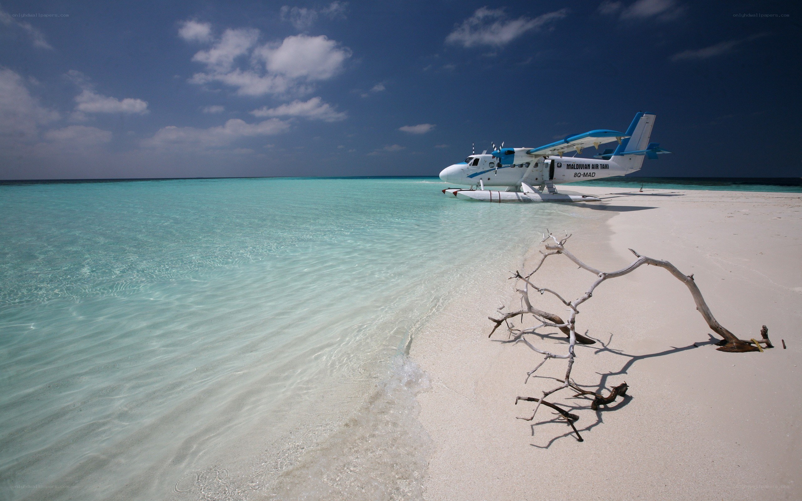 Seaplane on tropical beach