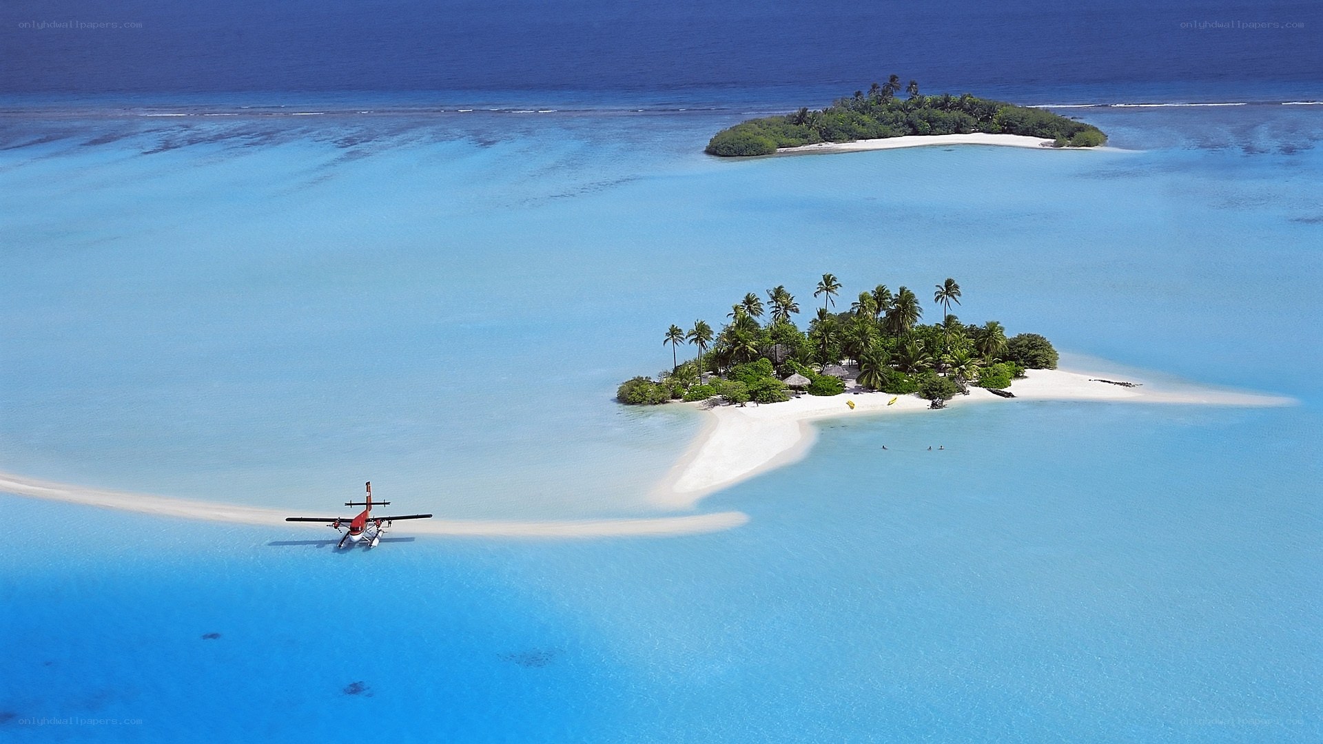 Seaplane over tropical island