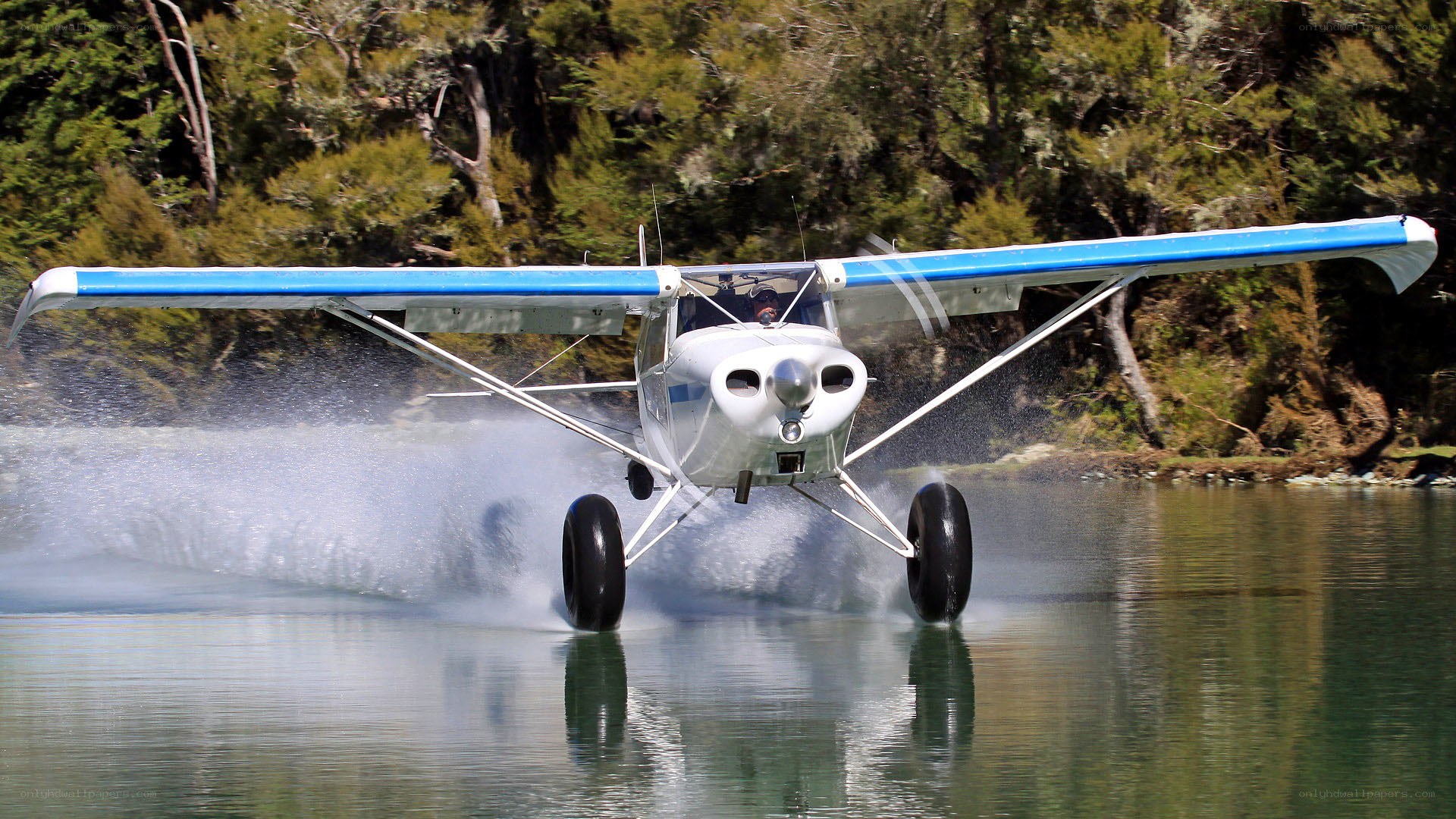 seaplane taking off from water