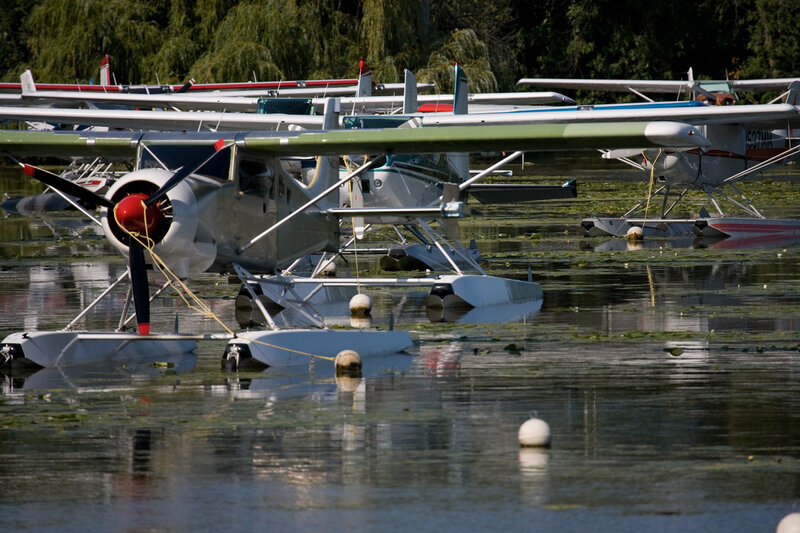 Seaplanes docked on a lake