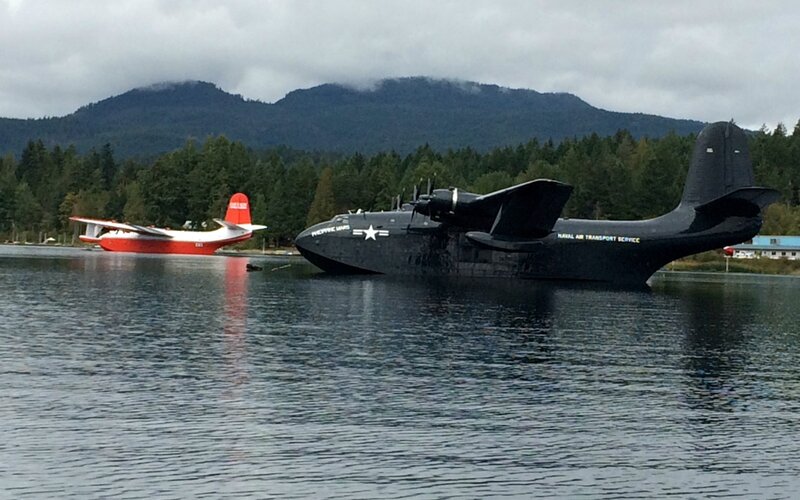 Seaplanes on Water — Black