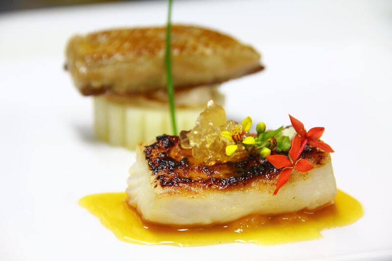 Seared fish with sauce and garnish