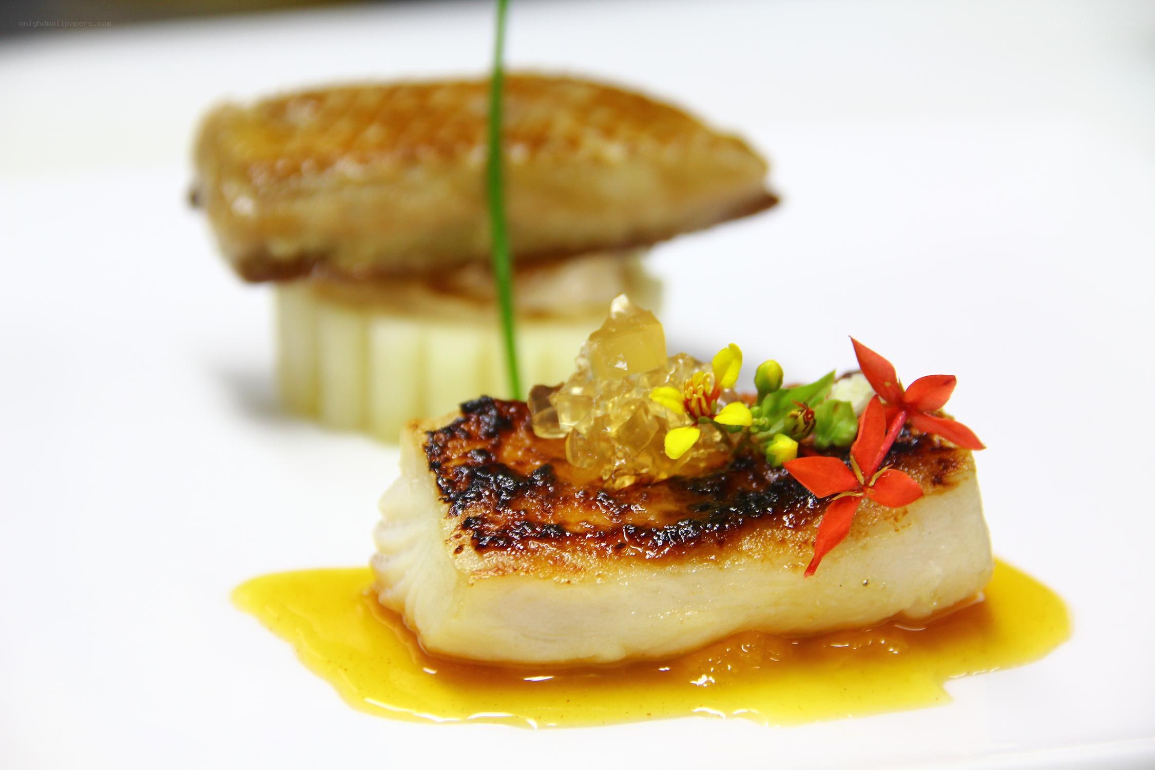 Seared fish with sauce and garnish