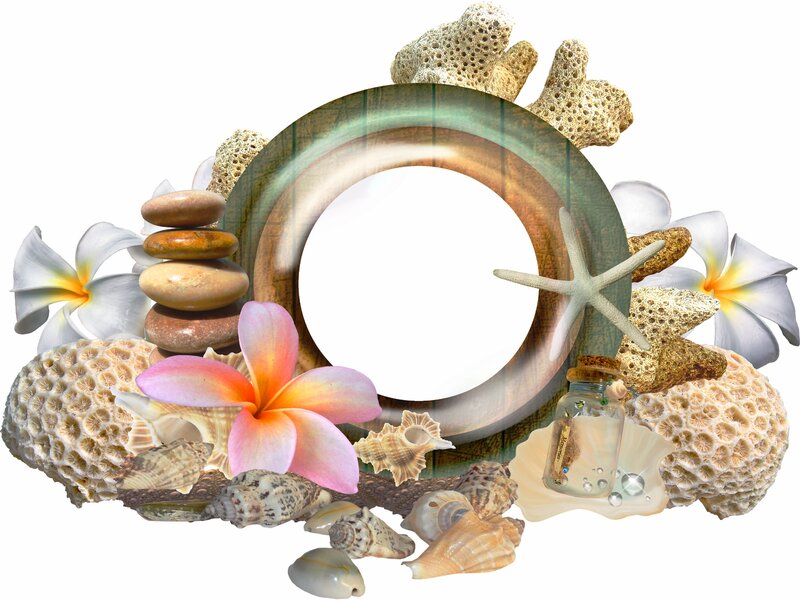 Seashell and Flower Arrangement