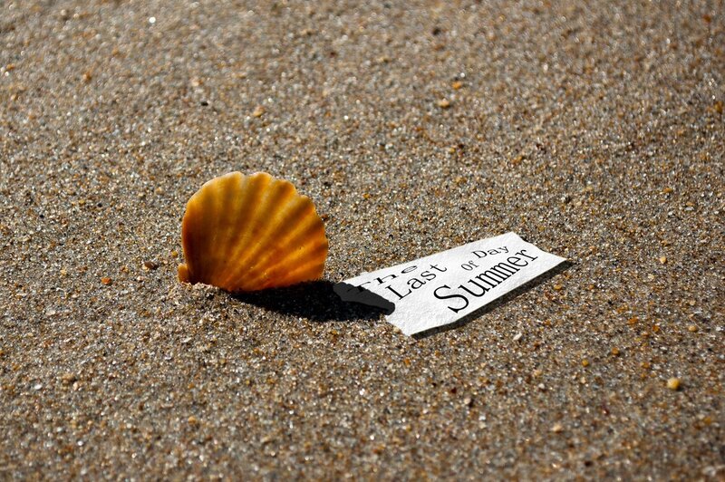 Seashell and Paper on Sand