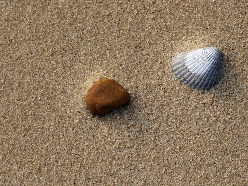 Seashell and stone on sand