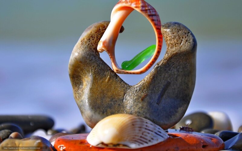Seashell and stone sculpture