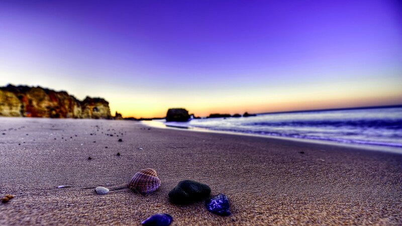 Seashell and Stones on Beach
