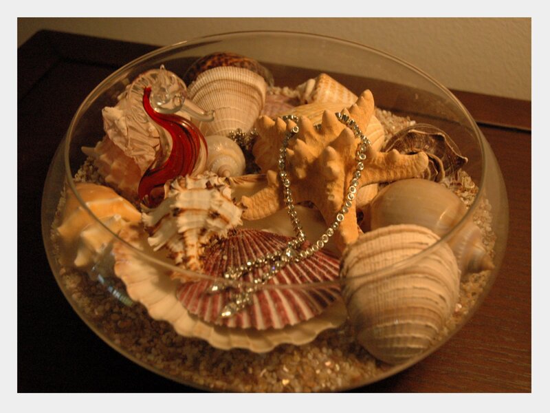 Seashell Arrangement in Bowl