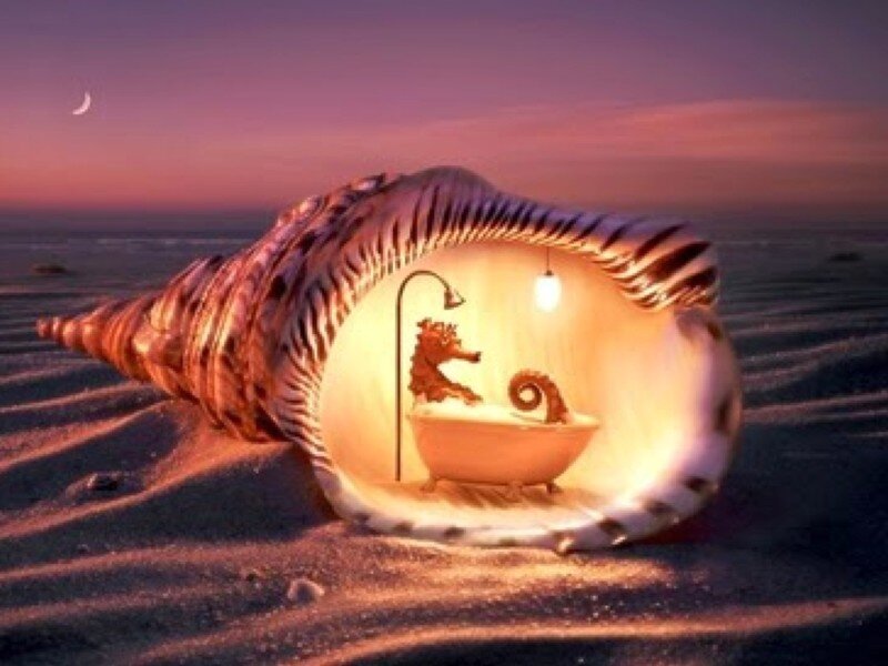 seashell bathroom fantasy