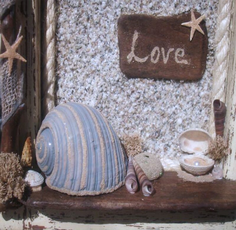 Seashell Display