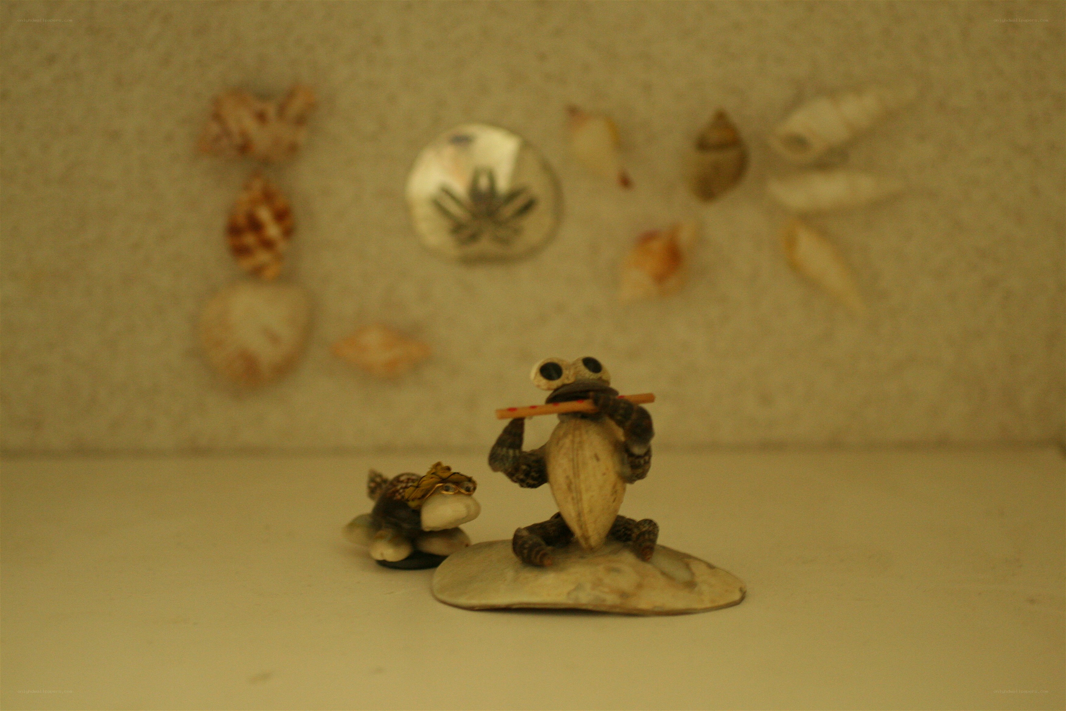 Seashell figurines on display
