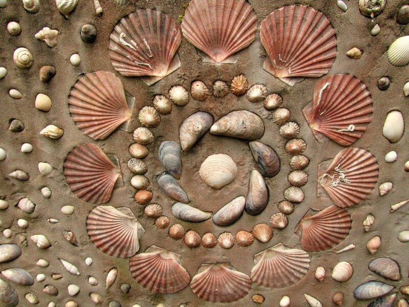 Seashell Mosaic Pattern