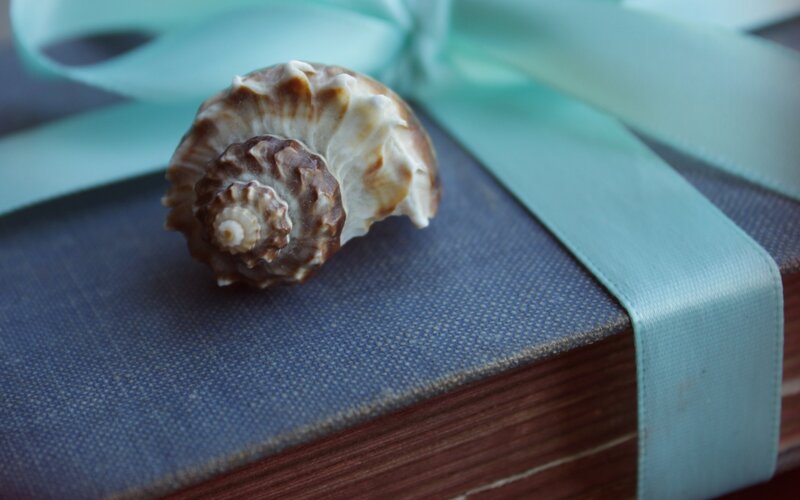 Seashell on a gift book