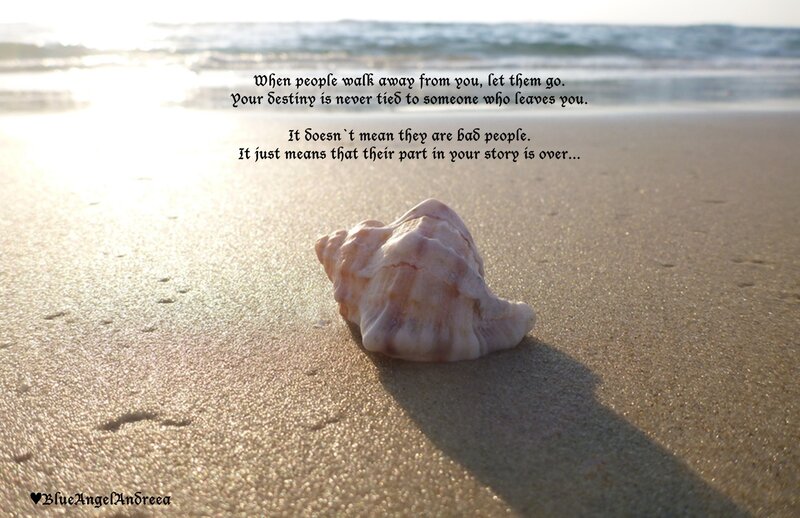 Seashell on Beach — Beige, Serene