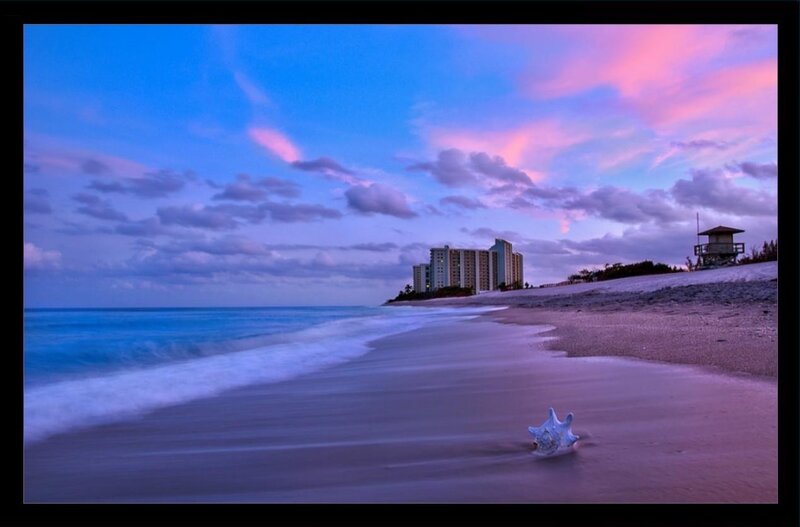 Seashell on Beach — Blue, Serene, Sunset