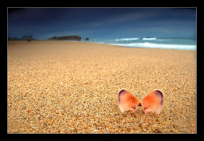 Seashell on Beach — Brown, Serene, Afternoon