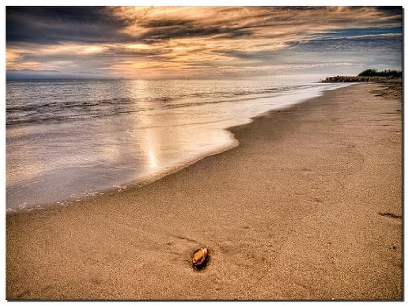 Seashell on Beach — Brown, Serene, Sunset, Photograph