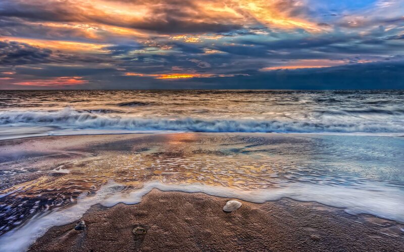 Seashell on Beach — Orange, Dramatic, Sunset, Photograph