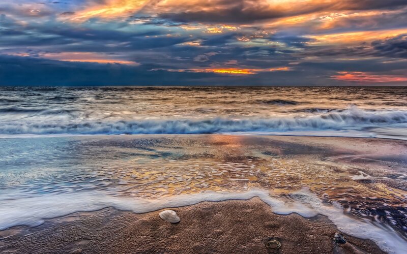 Seashell on Beach — Orange, Dramatic, Sunset, Photograph, Waves