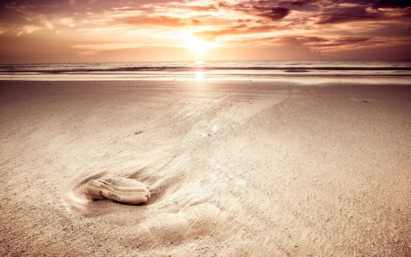 Seashell on Beach — Orange, Serene, Sunset, Photograph, Sand, Ocean, Sun, Brown, Beige