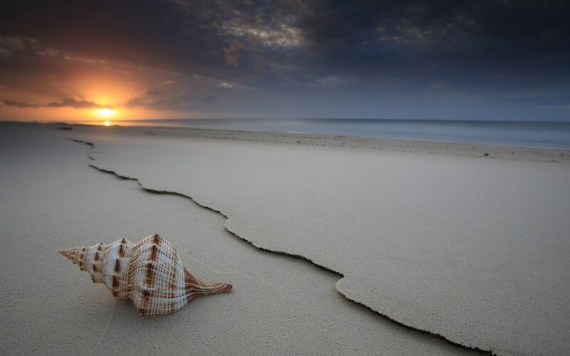 Seashell on Beach — Orange, Serene, Sunset, Photograph, Sun