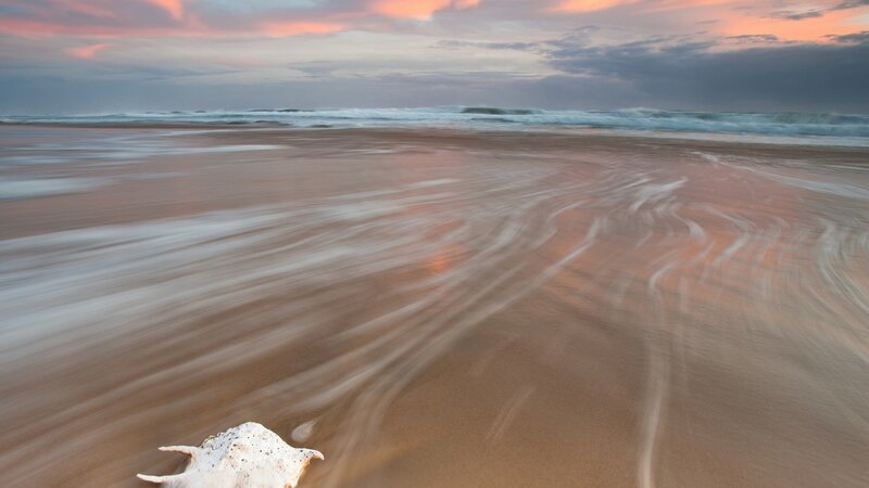 Seashell on Beach — Pink