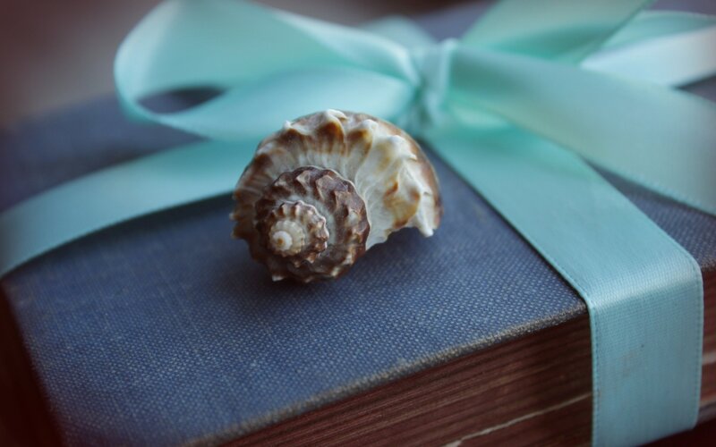 Seashell on Book — Blue, Serene, Photograph
