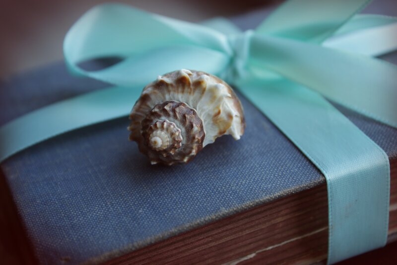 Seashell on Book — Blue